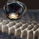 Illustration for article titled Black mamba venom could be better than morphine